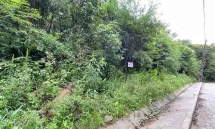Terreno à venda na Estrada Rozália Paulina Ferreira, --, Pântano do Sul, Florianópolis