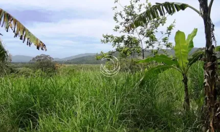 Terreno de 53356m² no bairro Santo Antônio De Lisboa