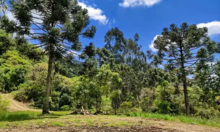 Terreno à venda na Rio Do Coxo - Mato Frances, --, Centro, Rancho Queimado