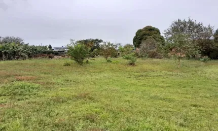Terreno à venda na José Valério De Souza, --, Barra do Aririú, Palhoça