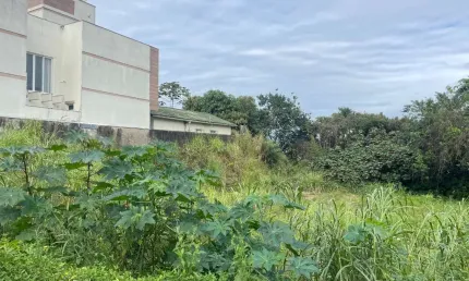 Terreno à venda na Rua Visconde de Cairú, --, Estreito, Florianópolis