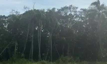 Terreno à venda na Rua Vidal Vicente Andrade, --, Sertão do Maruim, São José