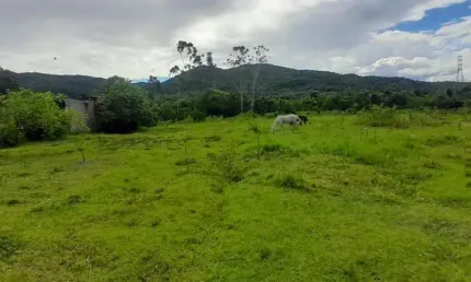 Terreno com 5.280m² no bairro Ratones em Florianópolis