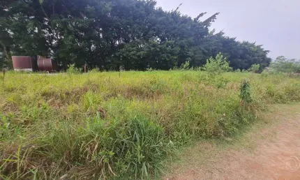 Terreno à venda na Sebastião Alezemiro Dos Santos, --, Bela Vista, Palhoça