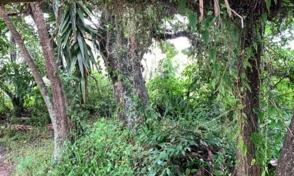 Terreno à venda na Avenida dos Salmões, --, Jurerê Internacional, Florianópolis