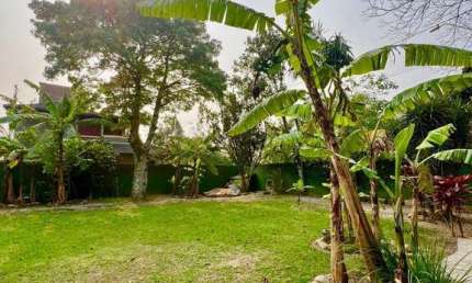 Terreno à venda na Geral Do Capão (Esquina Com Rua Das Orquideas), --, Capão, Garopaba