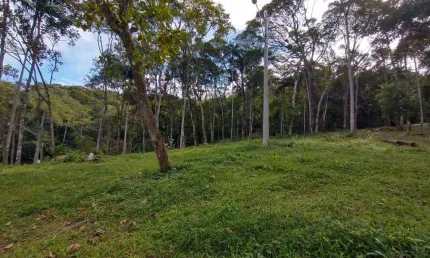 Terreno de 5366.82m² no bairro Varginha com 1.048,79 m² para construção