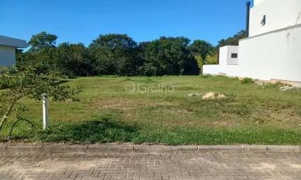 Terreno em condomínio fechado à venda na Rua do Lamim, --, Canasvieiras, Florianópolis
