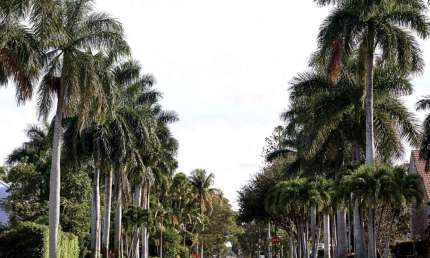 Prédio à venda na Rua da Capela, --, Campeche, Florianópolis