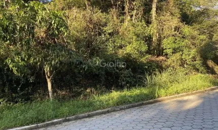 Terreno à venda na Rua Rosa, --, Pantanal, Florianópolis