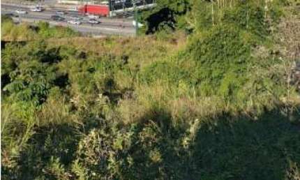 Terreno à venda na Rodovia BR-101, --, Picadas do Sul, São José