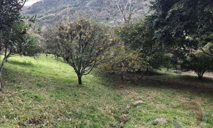 Fazenda à venda na Servidão Nelson Leopoldo dos Santos, --, Vargem Grande, Florianópolis