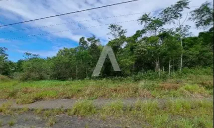 Terreno à venda no Cedro, Camboriú 