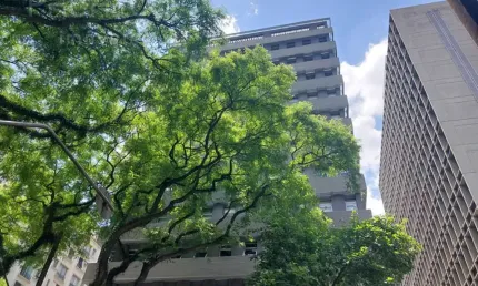 Sala comercial com 7 salas para alugar na Rua Haddock Lobo, --, Consolação, São Paulo, 245 m2 por R$ 15.000
