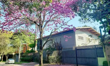 Casa comercial com 11 salas para alugar na rua natingui, --, alto de pinheiros, são paulo, 500 m2 por r$ 39.000