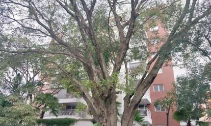 Apartamento com 1 quarto para alugar na Rua Fidalga, --, Vila Madalena, São Paulo, 155 m2 por R$ 9.000