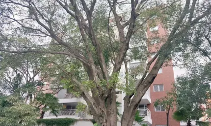 Apartamento com 1 quarto para alugar na Rua Fidalga, --, Vila Madalena, São Paulo, 74 m2 por R$ 5.500