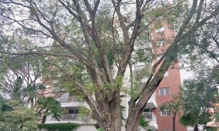 Apartamento com 1 quarto para alugar na Rua Fidalga, --, Vila Madalena, São Paulo, 74 m2 por R$ 5.500