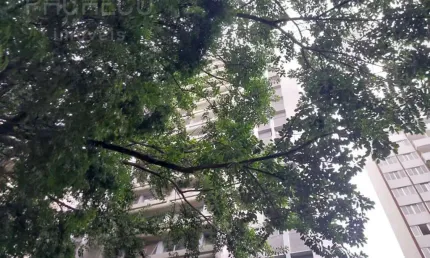 Apartamento com 3 quartos para alugar na rua joaquim antunes, --, pinheiros, são paulo, 95 m2 por r$ 6.200