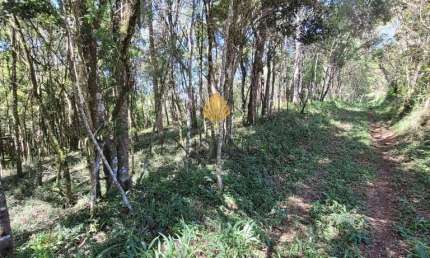 Chácara à venda, 70.153 m2 por R  559.000,00 - Área Rural - São José dos Pinhais PR