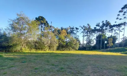 Terreno à venda, 1.060 m2 por R  559.000,00 - Rondinha - Campo Largo PR