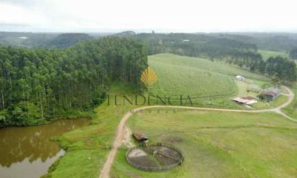 Fazenda à venda, 6.848.600.00 m2, Colônia Murici, SAO JOSE DOS PINHAIS - PR