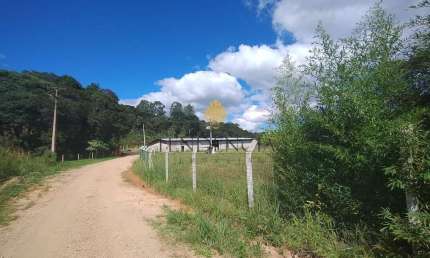 Terreno à venda, 28.652 m2 por R  4.599.000,00 - Centro - Tijucas do Sul PR