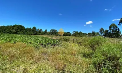 Chácara à venda, 57.862 m2,  por R  649.000,00 - Tabatinga - Tijucas do Sul PR