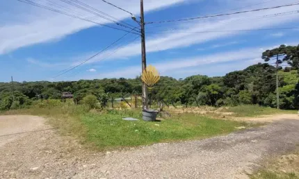 Terreno à venda, 10246 m  por R  2.499.000,00 - Centro - Tijucas do Sul PR