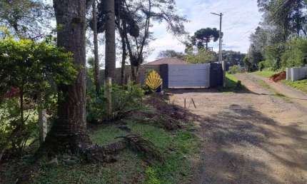 Chácara à venda, 2.750 m2 por R  749.000,00 - Lagoinha - Tijucas do Sul PR