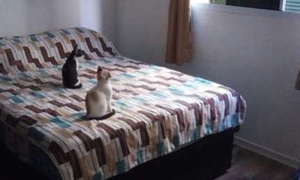 Venda de Apartamento 1 Dormitório em Jardim João XXIII - SP