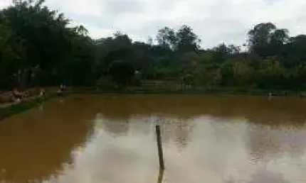Chácara Rural à venda, Jardim Bela Vista, Guarulhos - CH0006.