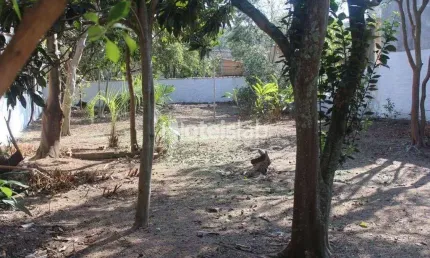Terreno no bairro Tapera da Base - Oportunidade de investimento