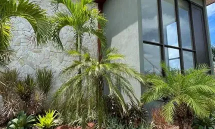 Casa com 5 dormitórios à venda, 310 m² por R$ 2.990.000,00 - Praia do Forte - Mata de São João/BA