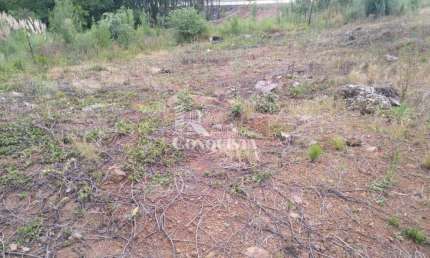 Terreno à venda na L, 4, Centro, Flores da Cunha por R$ 250.000
