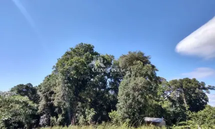 Terreno à venda na Rua Dionysio Adami, 9999, Nossa Senhora das Graças, Caxias do Sul por R$ 5.900.000
