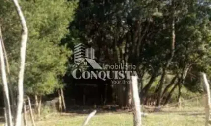 Chácara / sítio à venda na Municipal Agua Azul, 5875, Santa Lúcia do Piaí, Caxias do Sul por R$ 280.000