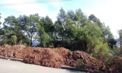 Terreno à venda na Rua Amélia Pinguella Bonatto, 5529, São Luiz, Caxias do Sul por R$ 195.000