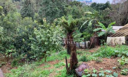 Terreno à venda na Rua Orestes Zoppas, 8, Charqueadas, Caxias do Sul por R$ 265.000