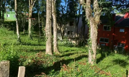 Terreno à venda na Rua Emília Mazzochi Gobbato, Ana Rech, Caxias do Sul por R$ 350.000