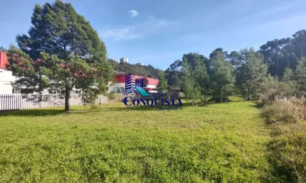 Terreno à venda na Avenida Padre Raul Accorsi, Zorzi, Caxias do Sul por R$ 300.000