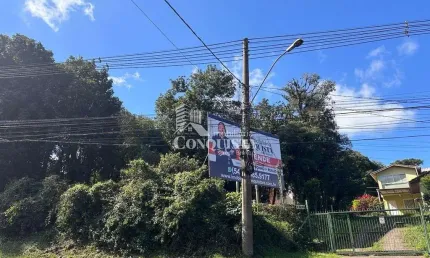Terreno à venda na br 116 km, 13200, são cristóvão, caxias do sul por r$ 4.900.000
