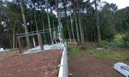 Chácara / sítio à venda na Rua São Francisco de Paula, 453, Galópolis, Caxias do Sul por R$ 185.000