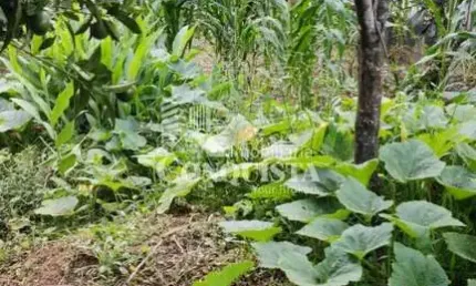 Terreno à venda na Rua Catharina Piazza Giulian, 11, Jardim Iracema, Caxias do Sul por R$ 185.000