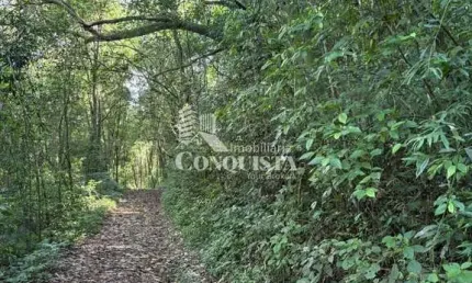 Chácara / sítio à venda na Estr. Mun. do Vinho, 1, São Pedro da Terceira Légua, Caxias do Sul por R$ 450.000