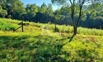 Chácara / sítio à venda na Travessa Santa Rita, 02, São Pedro da Terceira Légua, Caxias do Sul por R$ 540.000