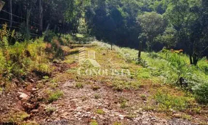 Chácara / sítio à venda na Travessa Santa Rita, 1, São Pedro da Terceira Légua, Caxias do Sul por R$ 300.000
