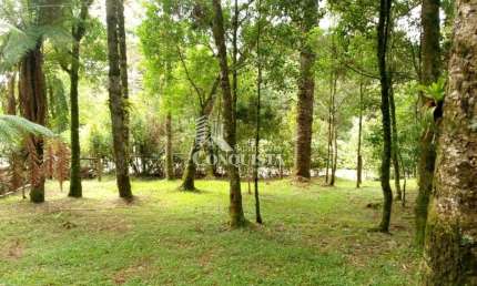 Terreno à venda na Frente Rs 020 e Rua Bracatinga, Colinas, São Francisco de Paula por R$ 500.000
