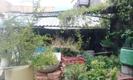 Lote - Terreno à venda, Colégio Batista - Belo Horizonte/MG