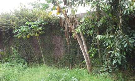 Lote - Terreno à venda, 2 vagas, Itapoã - Belo Horizonte/MG